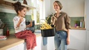 BOSCH FREIDORA DE AIRE MAF671B1