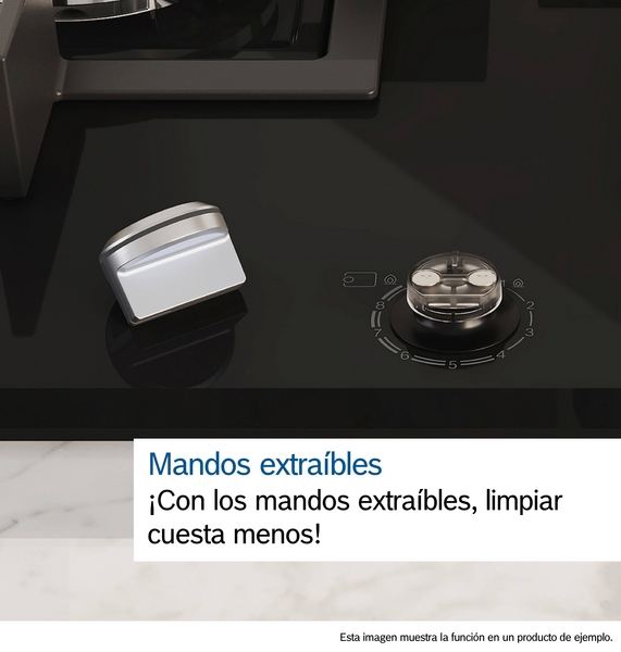 BOSCH PLACA PPP6A6I10