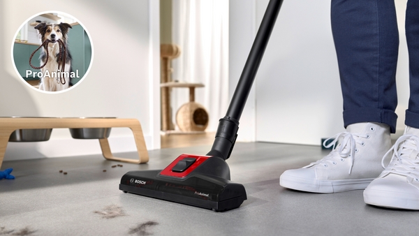 BOSCH ASPIRADOR BGL41PET2H